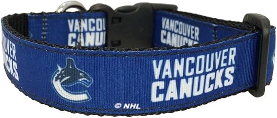 canucks dog jersey