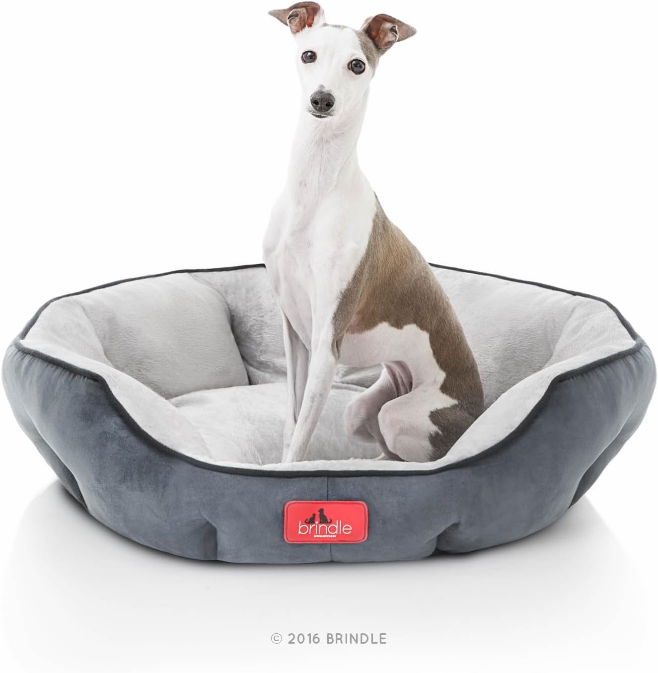 BRINDLE Washable Round Bolster Dog Bed Gray Microsuede Pet Bed Hogar y Cocina