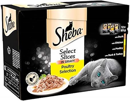 sheba cat food amazon