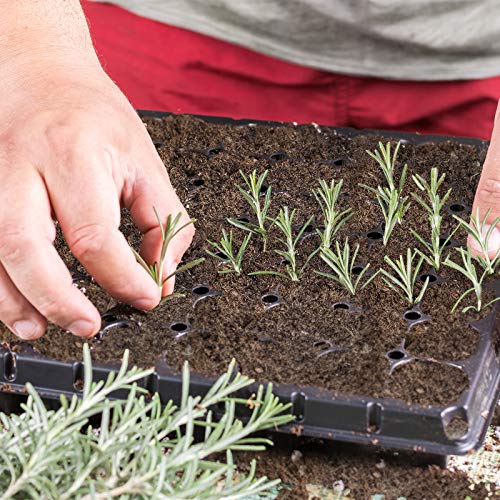 Organic Potting Soil Mix, Professional Starter Potting Mix, All Nature