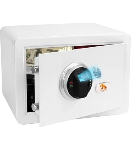 MASTER LOCK Biometric Small Safe [Fingerprint opening] MLD08EB
