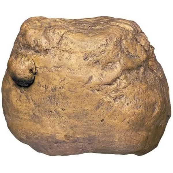 using diatomaceous earth on pets