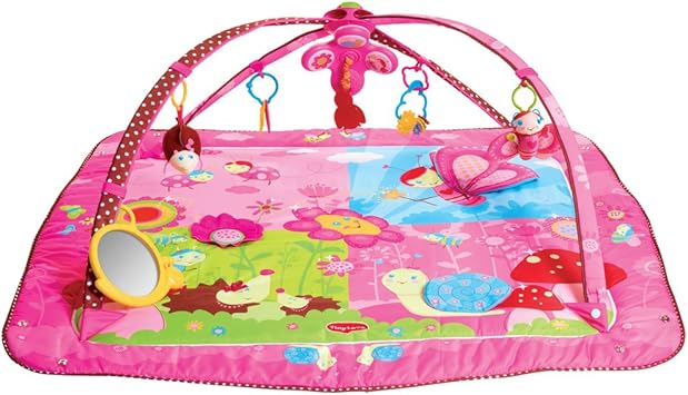 tiny love move and play gymini