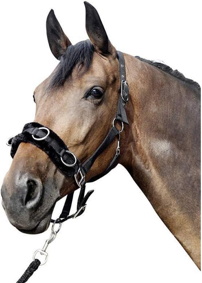 Hkm Hkm 4057052241727 Nylon Cavity Bridle with Plush Padding9100 Blackshetty