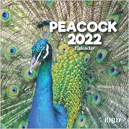 Bird Calendar 2022 Amazon
