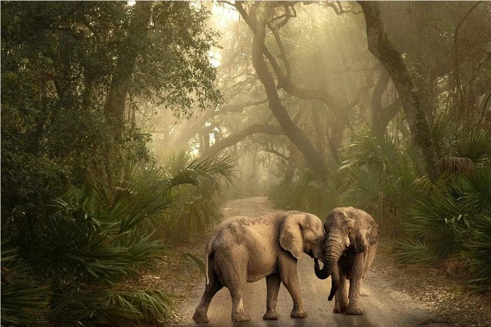 Path Elephant Light Tree Trail Nature Landscape Pattern,Paint by Number Kits Canvas DIY Oil Painting for Kids and Adults, Acrylic Pigment,Home Decoration(Without Frame)-40x50cm