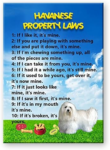 Havanese Property Laws Fridge Magnet
