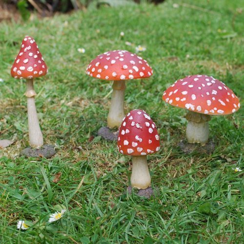 Pair of Red Resin Mushroom Toadstool Garden Ornaments Amazon.co.uk