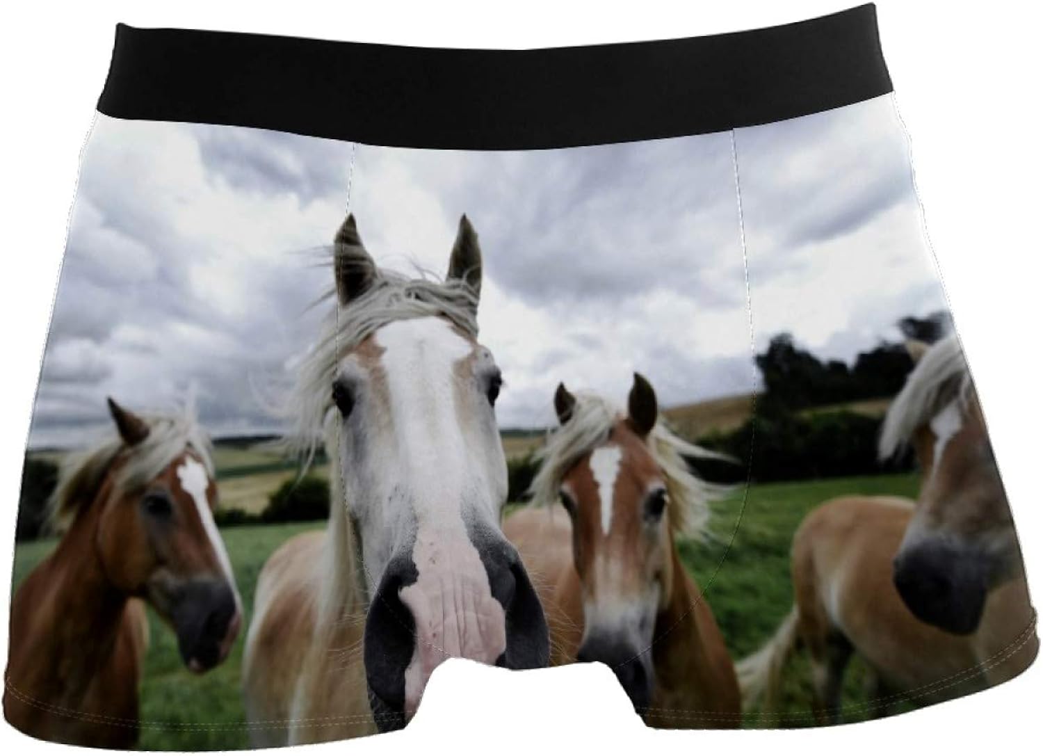 Mens Four Horses Animals Pasture Grassland Box Briefs Underwear Shorts at Amazon Men’s Clothing