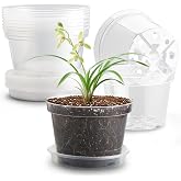 RooTrimmer 12 Pack 8 Inch Clear Plant Pots with Saucers, Transparent Plastic Nursery Pots with Drainage Hole, Sturdy Garden P