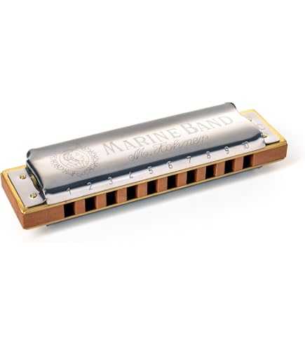 Amazon.com: Hohner 532BX-G Blues Harp, Key Of G Major : Everything