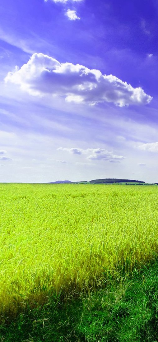 PeelitStickit, Beautiful Nature Wall Murals, ID-1027, vinyl