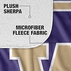 University of Washington Primary Logo Stripes