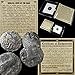 35 GR YOU GET ONE SILVER Ancient BIBLICAL COIN OF THE MAGI Persian Roman Bible Greek Jesus 35BC-5AD in mini folder with Certificate of Authenticity drachm from Good to Very Fine