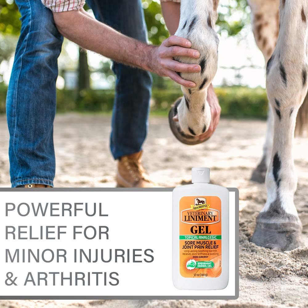 Absorbine Veterinary Liniment Topical Analgesic Sore Muscle and Arthritis Pain Relief Warming Liniment Rub, 12 Ounce Gel : Horse Liniments : Pet Supplies