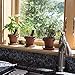 Window Garden Rustic Charm Herb Trio Kit with Planter Pots, Slate Markers, Fiber Soil, Germination Bags, Basil, Chive and Sage Seeds. Complete and Easy to Grow on Indoor Kitchen Windowsill.