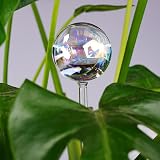 [Tomorotec] 6 Pack Light Iridescent Glass Self-Watering Spikes Iridescent Color view 7