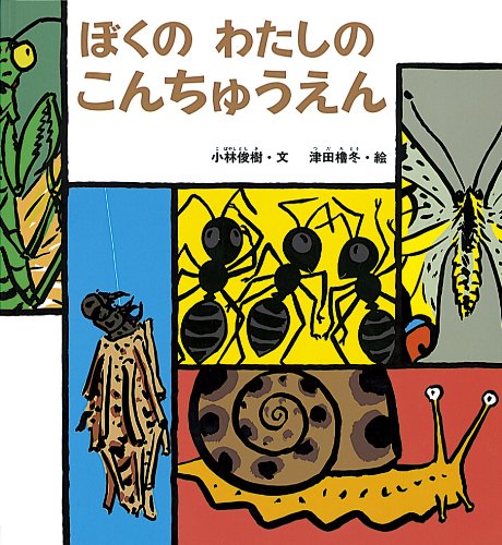 Amazon Com ぼくのわたしのこんちゅうえん かがくのとも傑作集 どきどき しぜん Toshiki Kobayashi Rotoi Tsuda Libros
