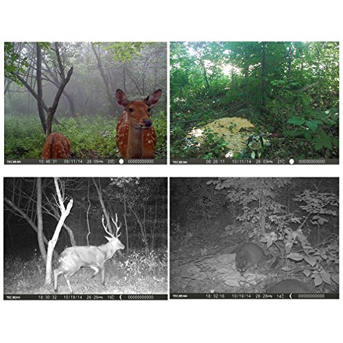 LESHP Trail and Game Camera Motion Activated 12 MP 1080P No Glow Trail Camera with Infrared Night Vision Built-in 2.0" LCD Screen Outdoor Waterproof IP66 Scouting Camera Deer Camera Digital Surveilla