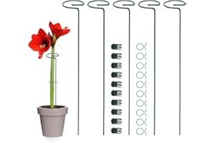 Whonline Plant Stakes, 6 Packs, 17 Inches Single Stem Plant Support Stakes for Tomatoes, Flowers Stakes and Supports Amaryllis Stakes with 20pcs Plant Clips, Plant Stakes for Indoor Plants