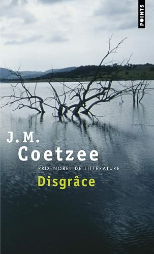 Download Disgrâce PDF