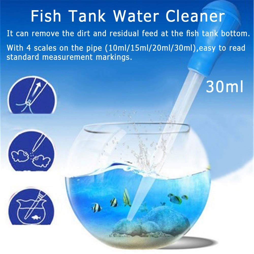 View 5