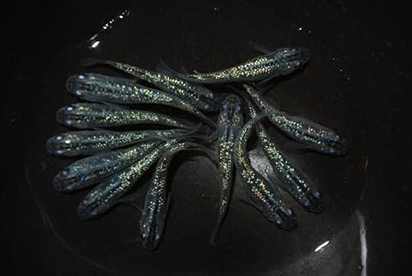 生体 メダカ稚魚 黒ラメレインボーの産んだ稚魚 10匹 本州 山口県省 四国限定 高﨑らんちゅう 観賞魚 水中生物 通販 Amazon 生体 メダカ稚魚 黒ラメレインボーの産んだ稚魚 10匹 本州 山口県省 四国限定 高﨑らんちゅう 観賞魚 水中生物 通販 Amazon