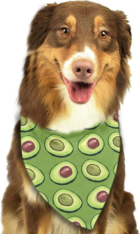 Avocado dog bandana Clearance