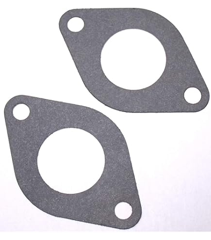 Amazon.com: Carburetor Intake Gasket for Briggs & Stratton