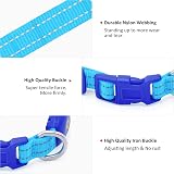 YFbrite Light Up Dog Collar Rechargeable LED Adjustable Blue XS view 4