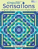 Singular Sensations: 14 Great Quilts from One Simple Block by 