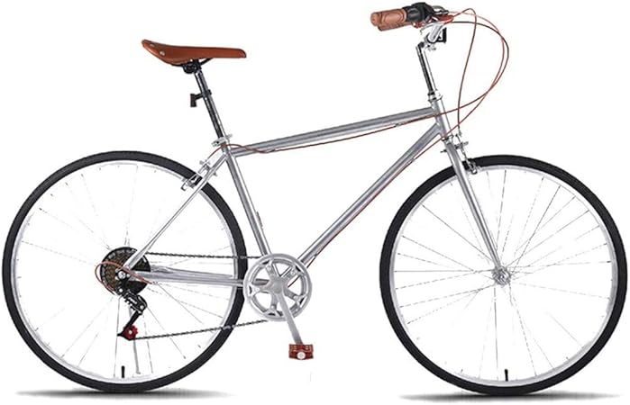 bicycle 21 inch frame