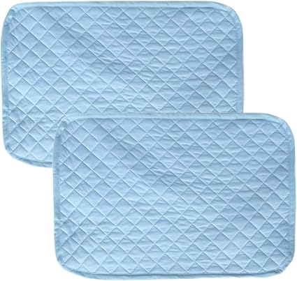 Amazon Co Jp 枕パッド 枕カバー ピローケース ピローパッド 同色２枚組 春夏用 吸水速乾 洗濯可 寝具 ひんやり 接触冷感 クール 43x63cm Jema ジェマブルー L ホーム キッチン