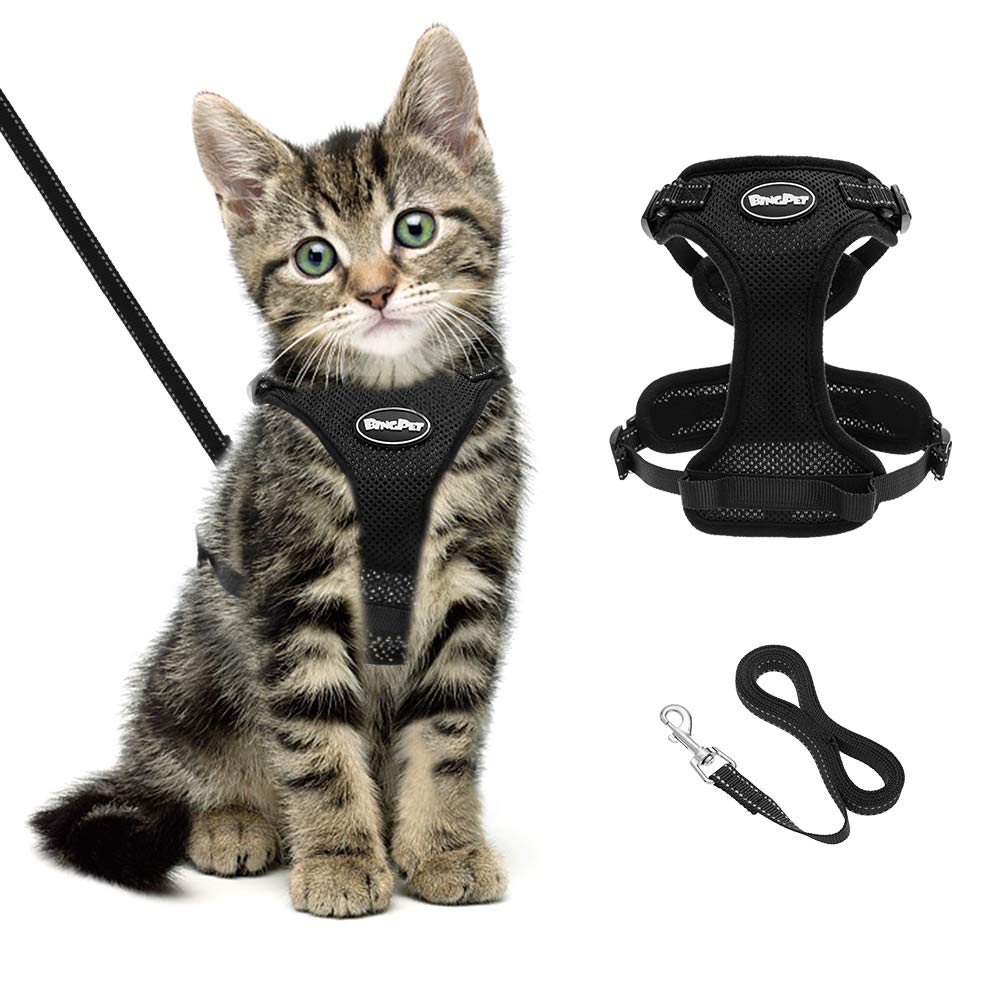 Bingpet Cat Harness And Lead Set Black Escape Proof Cat