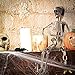 PREXTEX 20 Inch Posable Halloween Skeleton- Full Body Halloween Skeleton with Movable/Posable Joints for Best Halloween Decoration
