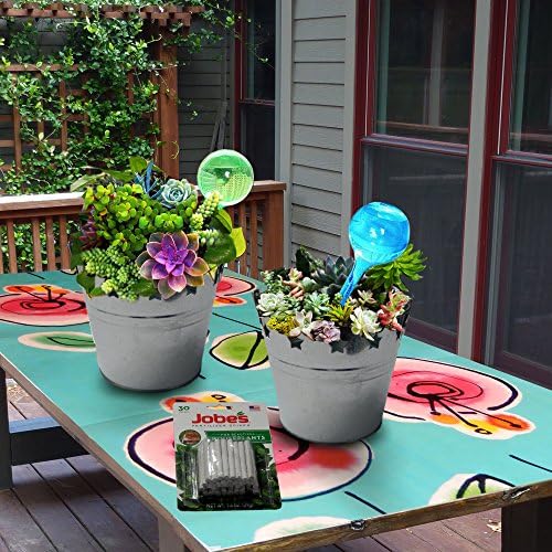 Deluxe 2 Watering Bulbs, Automatic Plant Watering Gardening Gifts, Two Bonus Galvanized Buckets, &amp; Jobes Fertilizer Spikes