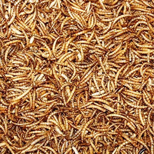 Mehlwürmer getrocknet 5000 ml