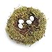 MomokoPeng Set of 2 Spring Bird Nests with Eggs，Twig Bird Nest Decorative Ornament with Clip(Green Bird's Nest)