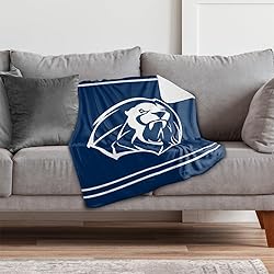 University of Arkansas Fort Smith Lions Primary