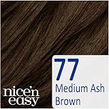 Clairol Nice'n Easy No Ammonia Hair Dye 77 Medium Ash Brown Natural Looking view 4