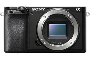Sony Alpha A6100 Mirrorless Camera