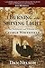 A Burning and Shining Light: The Testimony and Witness of George Whitefield by Dan Nelson