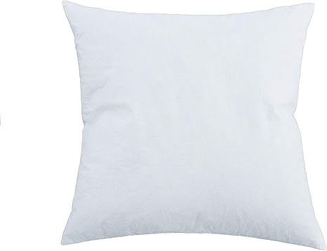 Pillow Insert 20x20 Feather And Down Amazon Ca Home Kitchen