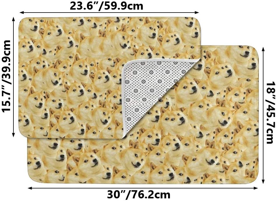 CUXWEOT Indoor Outdoor Doormat Non-Slip Backing Ultra Absorbent Mud Wonderful Waterfall Rainbow Door Mat Home Office Decorative Entry Rug Garden Kitchen Mats 23.6 x15.7 Inch : Garden & Outdoor