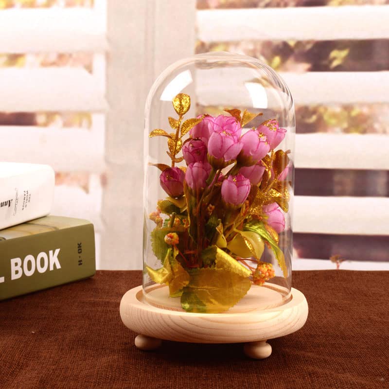 Warmiehomy Glass Cloche Bell Jar Dome with Wood Base Glass Domes for Display Suitable for forever flower doll and toys(Diameter 11cm, Height 20cm)