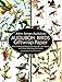 Audubon Birds Giftwrap Paper (Dover Giftwrap)