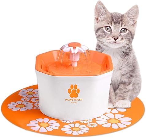 cat water fountain amazon uk
