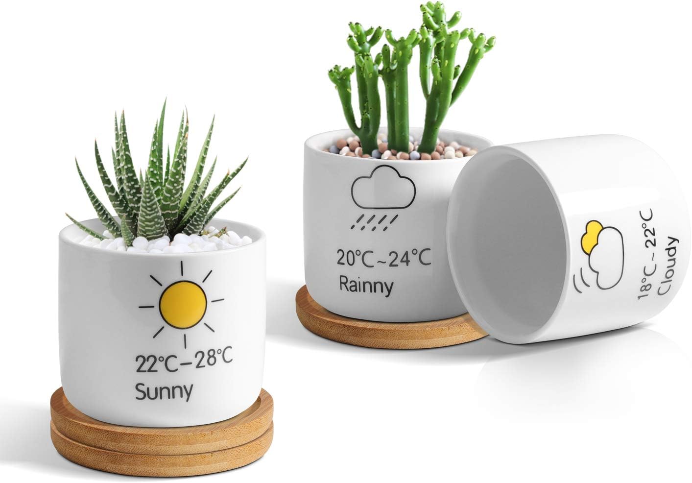 T4U Ceramic Succulent Pot Cartoon Patterns White Round Mini with Tray, Set of 3
