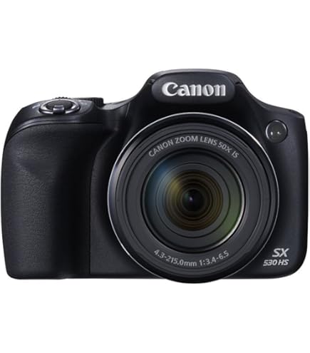 Amazon.com : Canon PowerShot SX530 HS 16.0 MP CMOS Digital Camera 