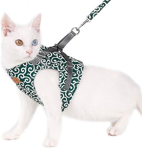 Honeye Ensemble De Poitrine Et Dos Pour Chat Avec Harnais Et Laisse Reglables Pour La Marche Du Chaton Amazon Fr Animalerie